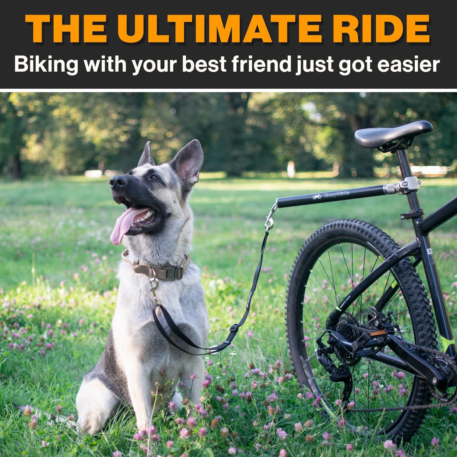 180° Rotating Dog Bike Leash